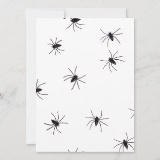 spiders