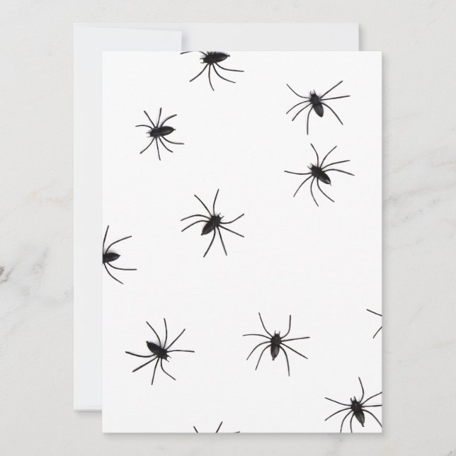 spiders (Front)