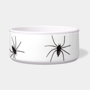 Spiders