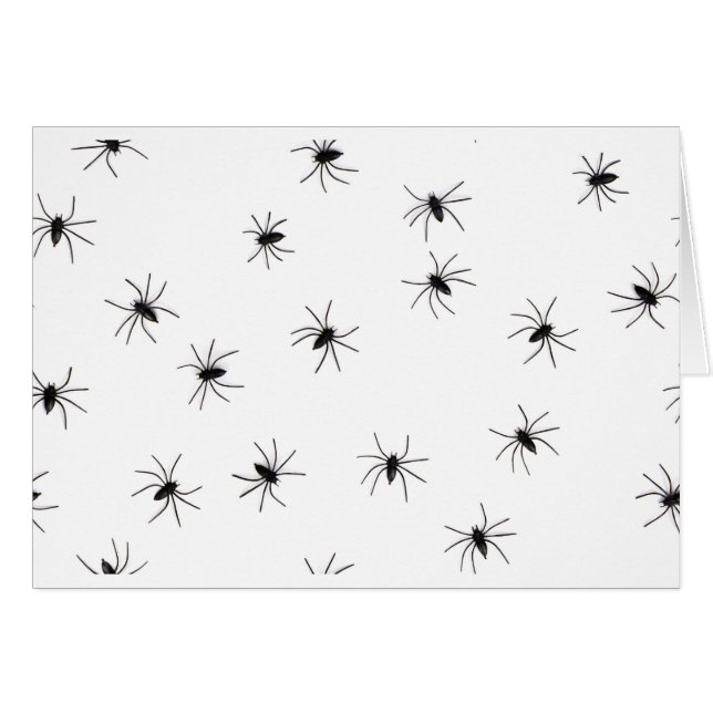 spiders (Front Horizontal)