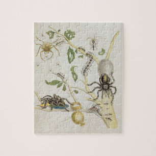 Spiders: Mygole, plate 18 from 'Over de Voorteelin Jigsaw Puzzle