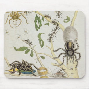 Spiders: Mygole, plate 18 from 'Over de Voorteelin Mouse Pad
