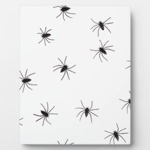 spiders plaque