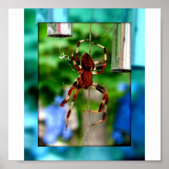 spiders poster (Front)
