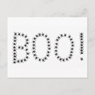 Spiders Saying Boo Postcard