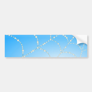 Spiders Web Bumper Sticker