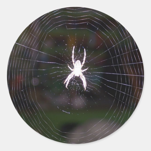 Spiders Web Classic Round Sticker (Front)