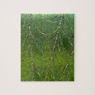Spiders Web Jigsaw Puzzle