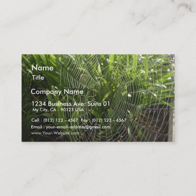 Spiderweb Covered With Dew In The Morning Business Card (Front)