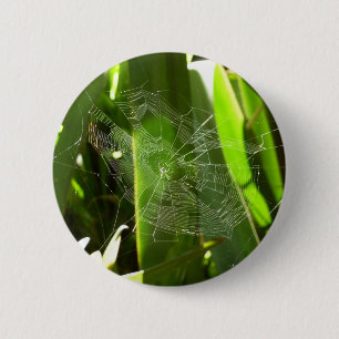 Spiderweb in Tropical Leaves Nature 2 Inch Round Button