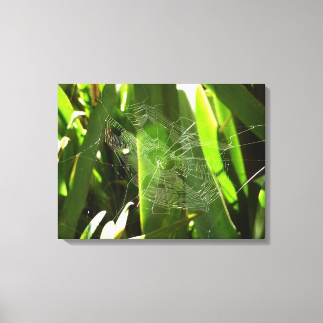 Spiderweb in Tropical Leaves Nature Canvas Print (Front)