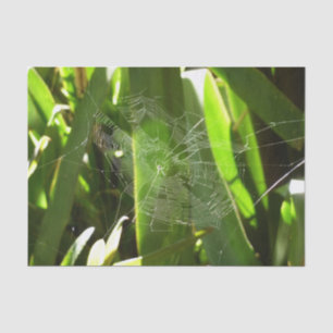 Spiderweb in Tropical Leaves Nature Tissue Paper