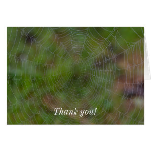 Spiderweb With Droplets Thank You Card