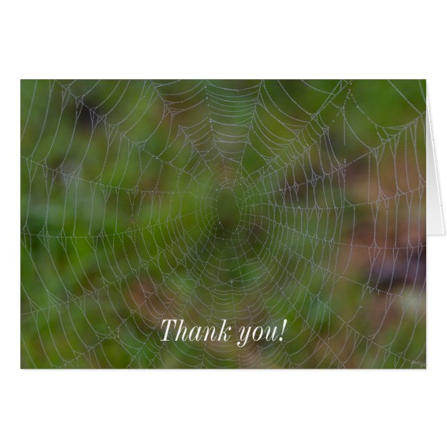 Spiderweb With Droplets Thank You Card (Front Horizontal)