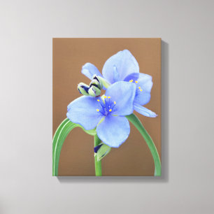 Spiderwort Flower Canvas Print
