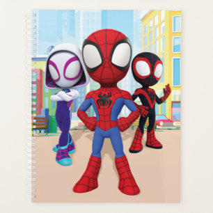 Spidey Team In Town Planner