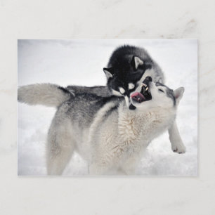 spielodernst postcard