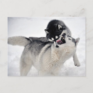 spielodernst postcard