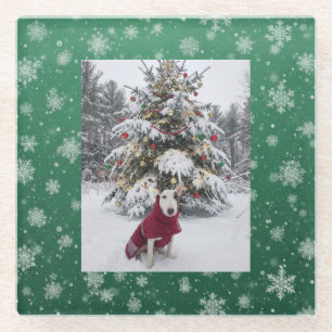 Spike "Let it snow" Glass Coaster