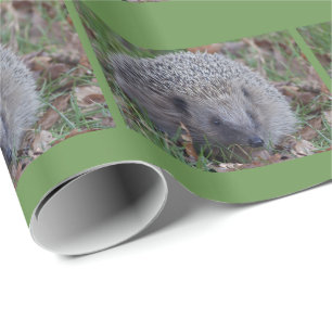 Spike Wrapping Paper