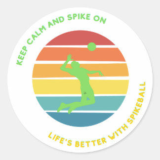 Spikeball Stickers Life is Better with it
