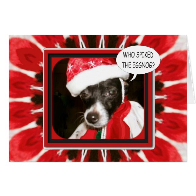Spiked Eggnog Dog (Front Horizontal)