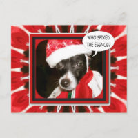 Spiked Eggnog Dog
