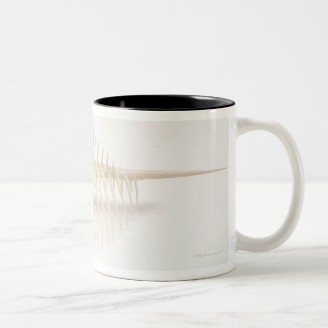 Spiked Murex shell Two-Tone Coffee Mug (Right)