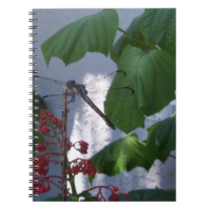 Spiketail dragonfly notebook