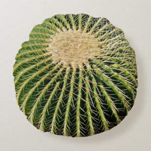 Spikey Look Cactus Cushion