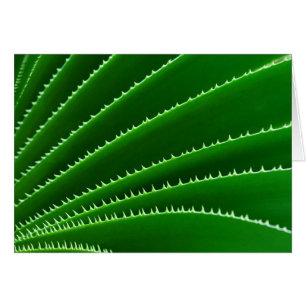 Spiky Green Leaf Pattern