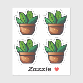 Spiky Green Plant in Terra Cotta Pot