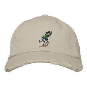 Spin Doctor Embroidered Distressed Cap