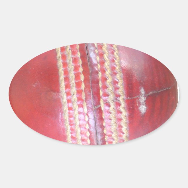 Spin Master's Sphere: A Fun Left Spin Cricket Ball Oval Sticker (Front)