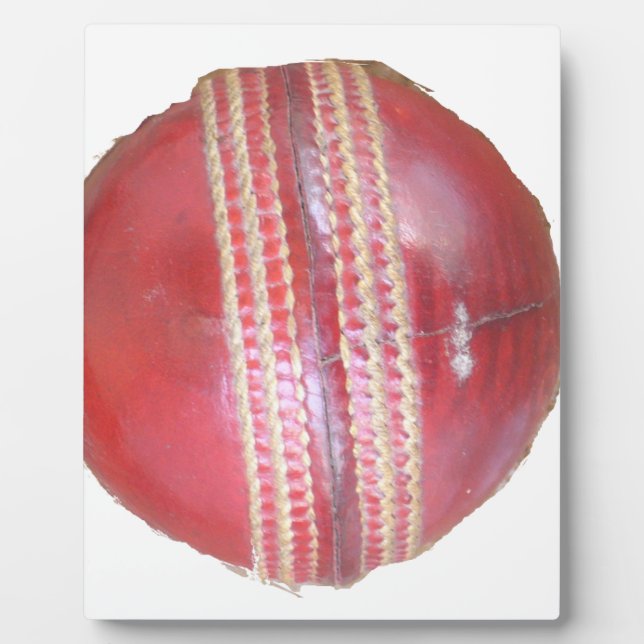 Spin Master's Sphere: A Fun Left Spin Cricket Ball Plaque (Front)
