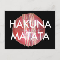 Spin Master's Sphere: A Fun Left Spin Cricket Ball