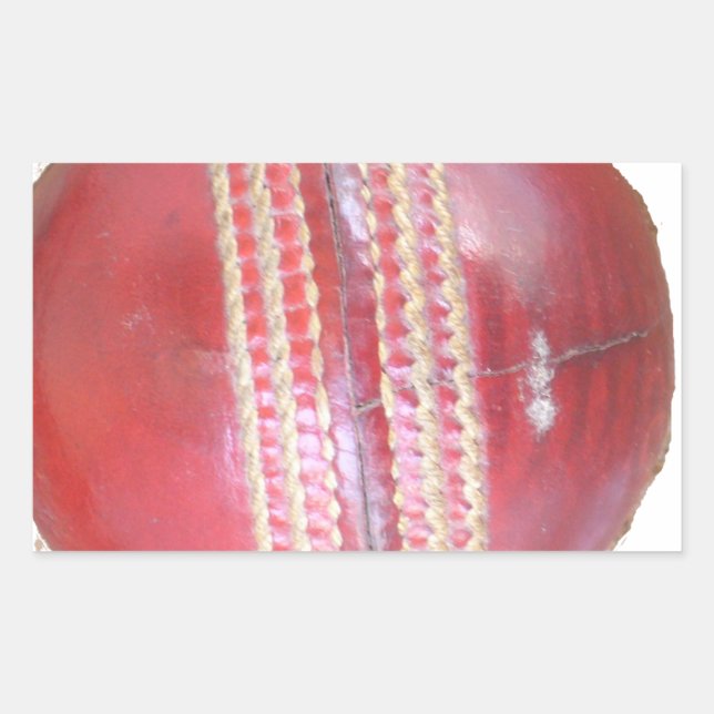 Spin Master's Sphere: A Fun Left Spin Cricket Ball Sticker (Front)