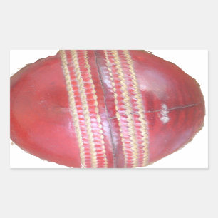 Spin Master's Sphere: A Fun Left Spin Cricket Ball Sticker