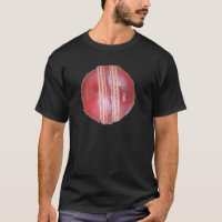 Spin Master's Sphere: A Fun Left Spin Cricket Ball