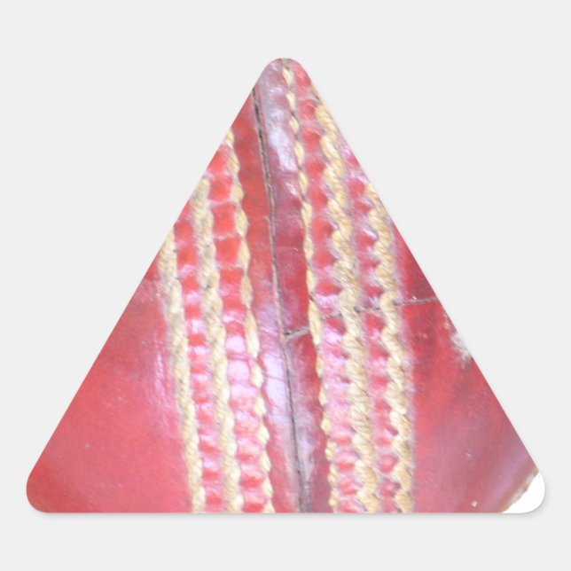 Spin Master's Sphere: A Fun Left Spin Cricket Ball Triangle Sticker (Front)