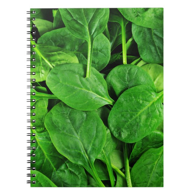 Spinach Notebook (Front)