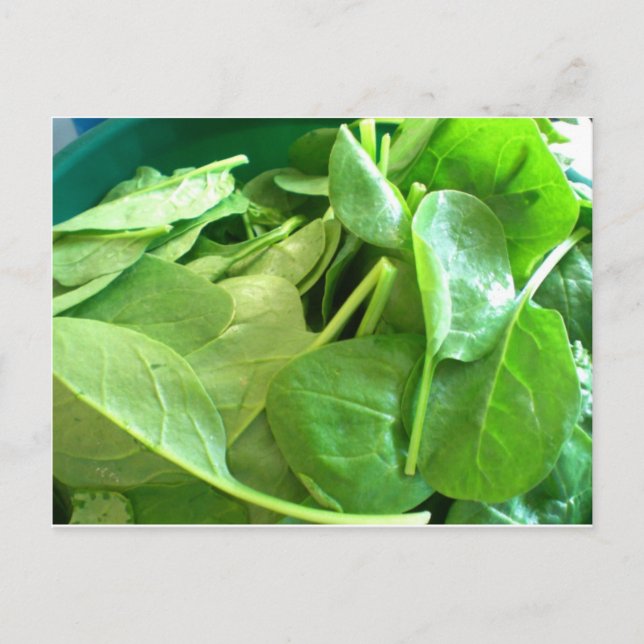 Spinach Postcard (Front)