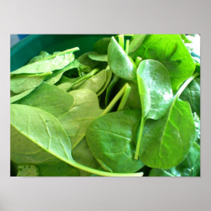 Spinach Poster