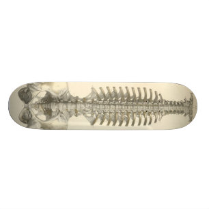 Spinal Column Skateboard