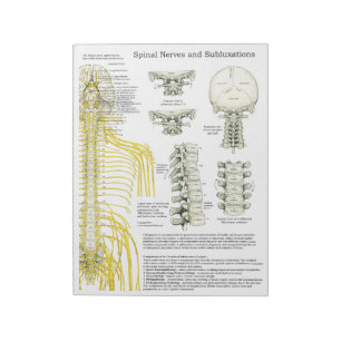 Spinal Nerves Subluxations Tear Off Pads