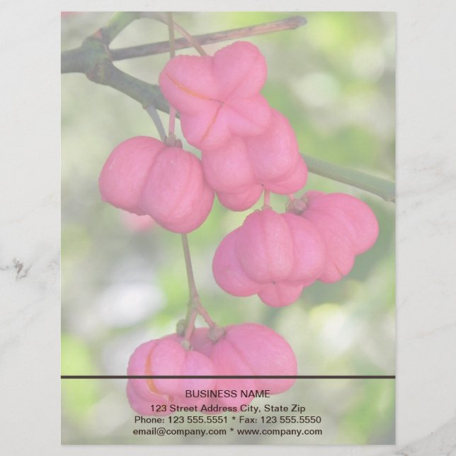 Spindle berries pink letterhead (Front)