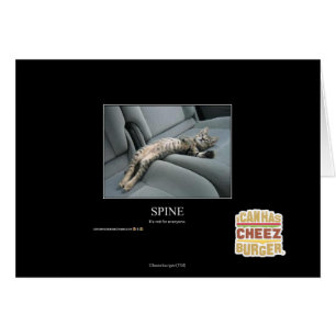 Spine