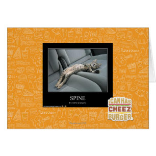 Spine