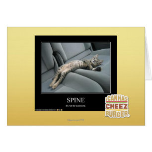 Spine