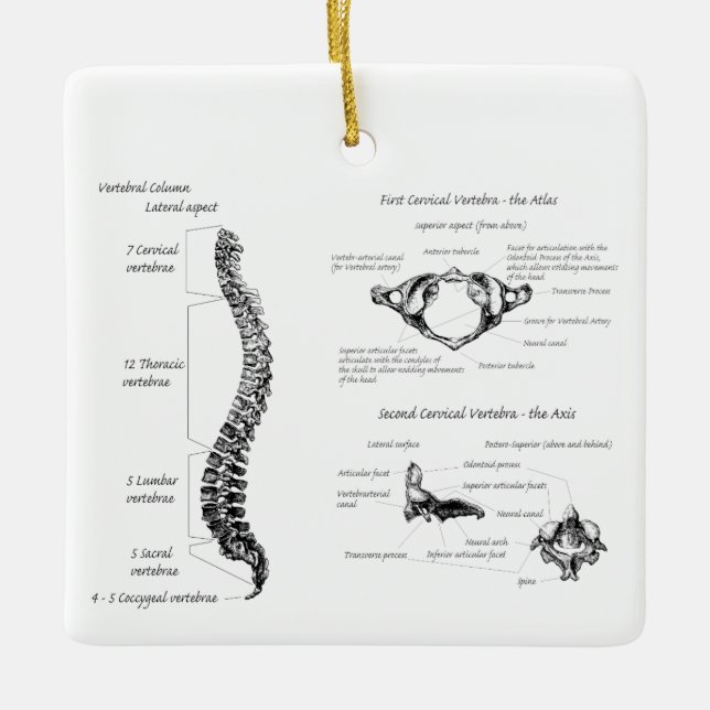 Spine Ceramic Ornament (Front)